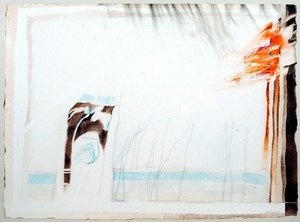 Wildfire