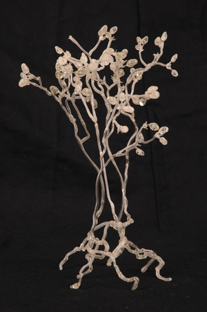 Glass Model of Fungi