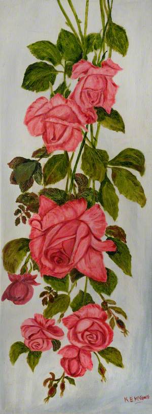 'Lady Seton' Rose
