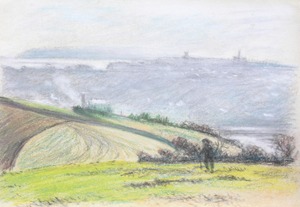 Fields with Figure