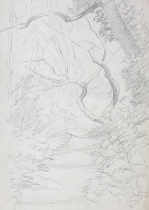 Sketch of Woodland Scene with Path
