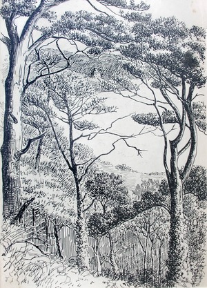 Trees (Cornwall)
