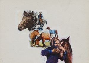 Follyfoot Annual 1976 – ABC of Horsemanship