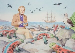 Charles Darwin in the Galapagos Islands