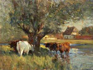 Cattle in the Shade of a Large Willow Tree