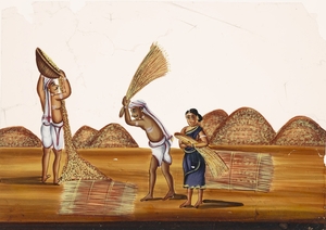 Indian farmers working in the fields