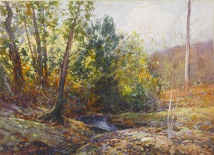 In the woods, West Culver
