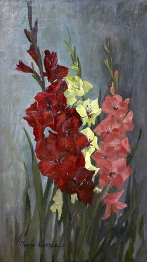 Gladioli