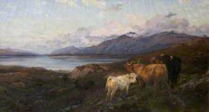 Cattle by a Highland Loch