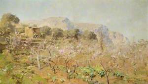 Orchard on a Mountainside