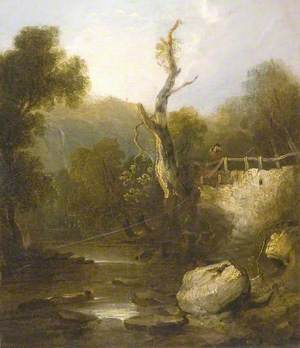 The Stream of a Wooded Valley