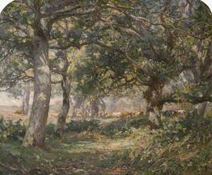 Oaks and Brambles near Moreton, Dorset