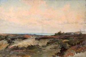 Landscape with Heath and Sea