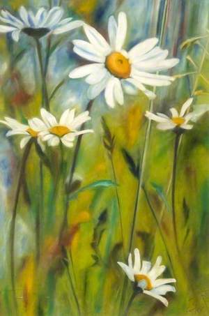 Daisies