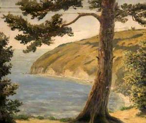 Durlston Bay, Dorset, with a Pine Tree