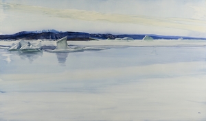 Grounded Ice, Otto Fiord, 17 VII 1992