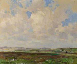 Orkney Landscape