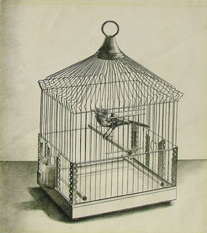 Bird in Cage