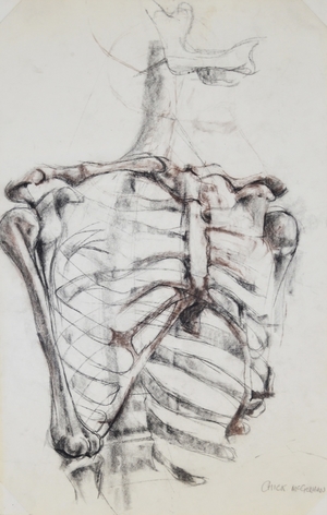 Study of Skeleton