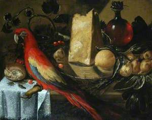 Still Life with a Red Macaw