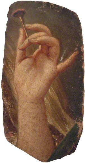 The Hand of Madame de Pompadour