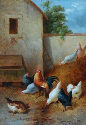 Chickens near a Water Trough
