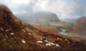 Sheep Walk, Cronkley Crags, Teesdale, County Durham