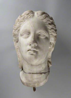 Head of a Woman