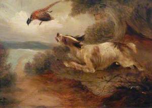 Dog and Pheasant