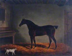 Horse and Dog in a Stable