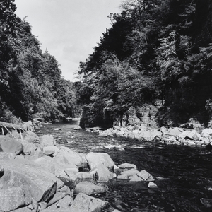 Tees Below High Force