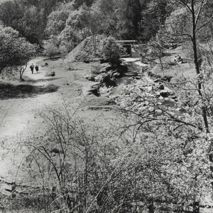 Spoil Heap at Bowlees