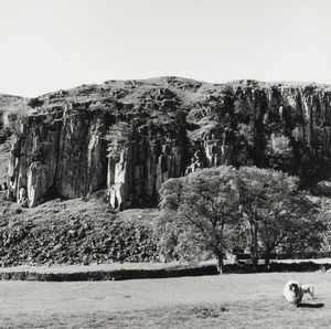 Holwick Scar