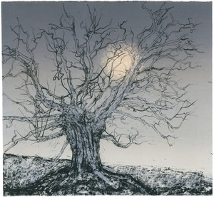 Resilient Tree, Rising Moon