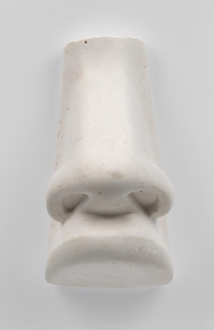 Nose