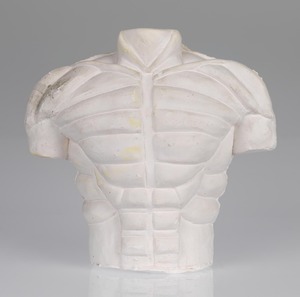 Torso