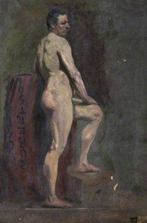 Back of Standing Male Nude