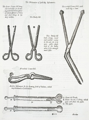 Teeth Files and Teeth Forceps