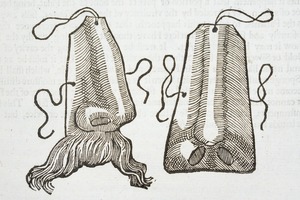 False Noses