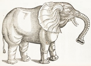 Elephant