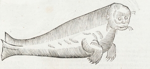 Sea Monster