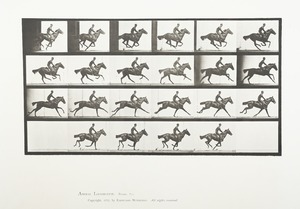 Man Riding Horse