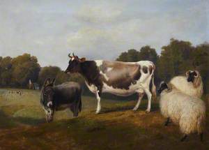 Cow, Sheep and Donkey in a Parkland Setting