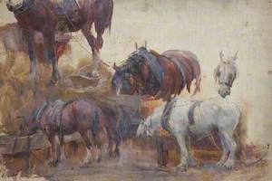 Studies of Farm Horses