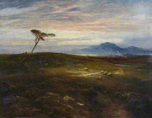 Dawn on a Scottish Moorland