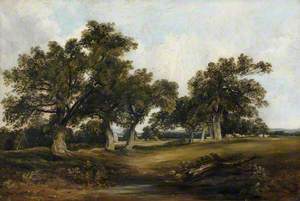 Landscape with Oak Trees