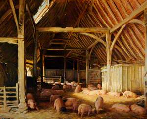 Pigs in a Barn