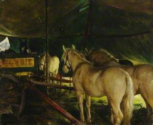 Welsh Ponies, Sanger's Circus