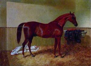 Chestnut Horse in a Stable