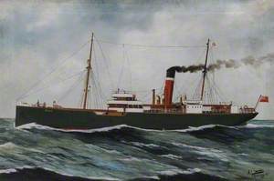 SS 'Hull' (Wilson and North Eastern Railway Shipping Company Limited, Hull)